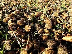 1761921156794.webp 1761921156794.webp