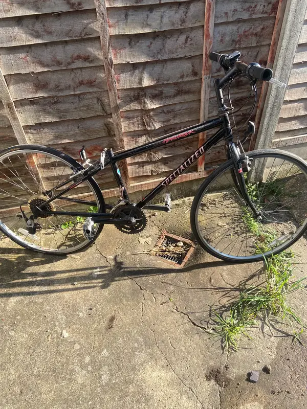 IMG_7245.webp IMG_7245.webp