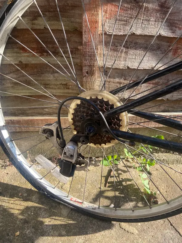 IMG_7247.webp IMG_7247.webp