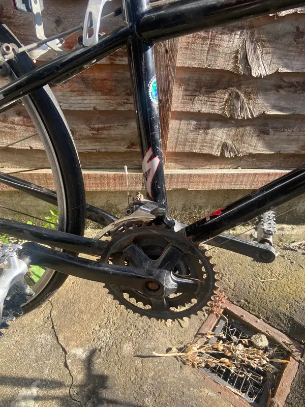 IMG_7248.webp IMG_7248.webp