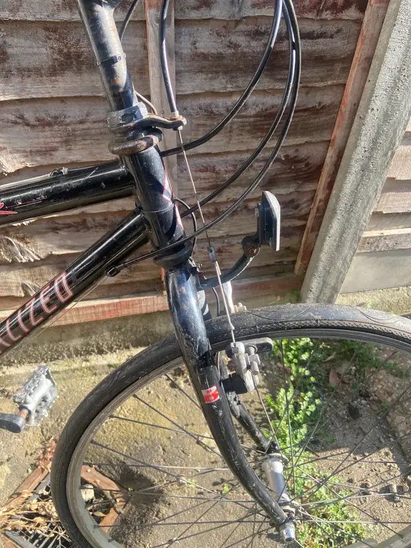 IMG_7249.webp IMG_7249.webp