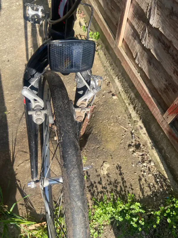 IMG_7252.webp IMG_7252.webp