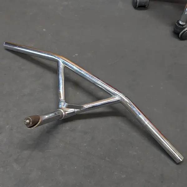 Silver bullmoose (4).webp