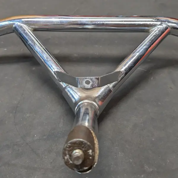 Silver bullmoose (3).webp