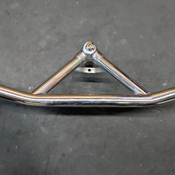 Silver bullmoose (7).webp