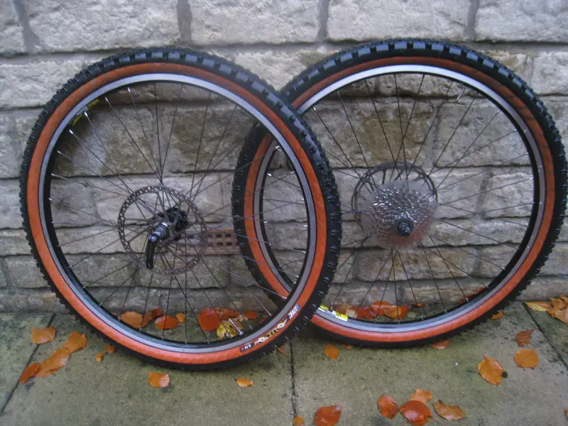 IMG_0002 - Copy (187).webp