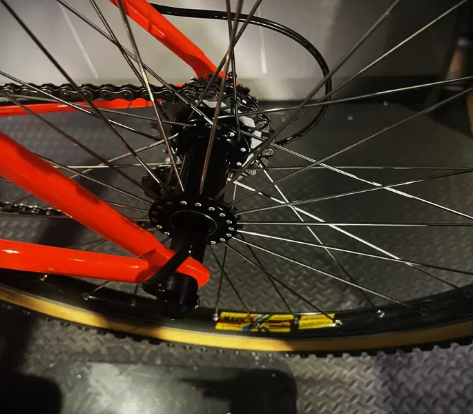 thumbnail_IMG_5665 (1).webp