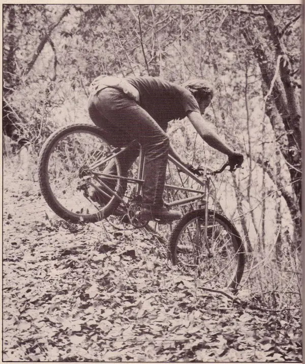 Screenshot 2025-11-11 111308.webp