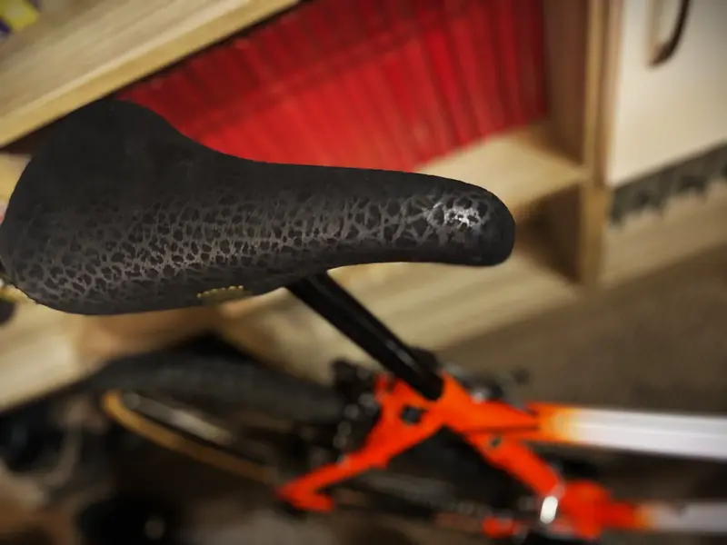 thumbnail_IMG_5773 (1).webp