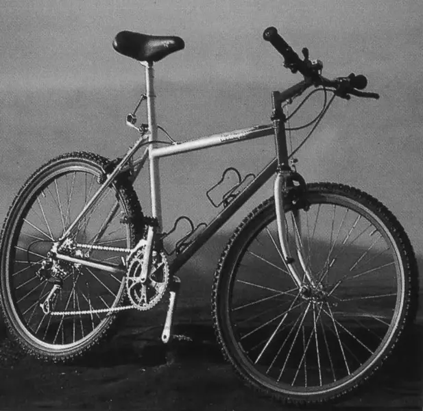 TUSHINGHAM WORKS REPLICA.webp