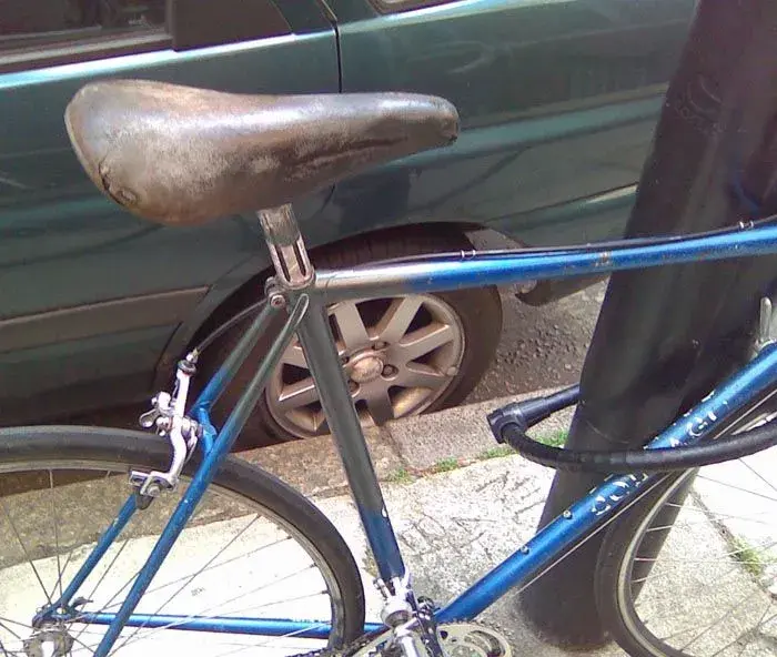 Colnago blue stays .webp