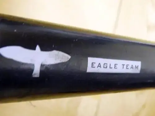 Hooger eagle team7.webp