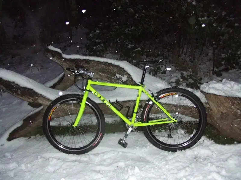 Snowy Marin 1.webp