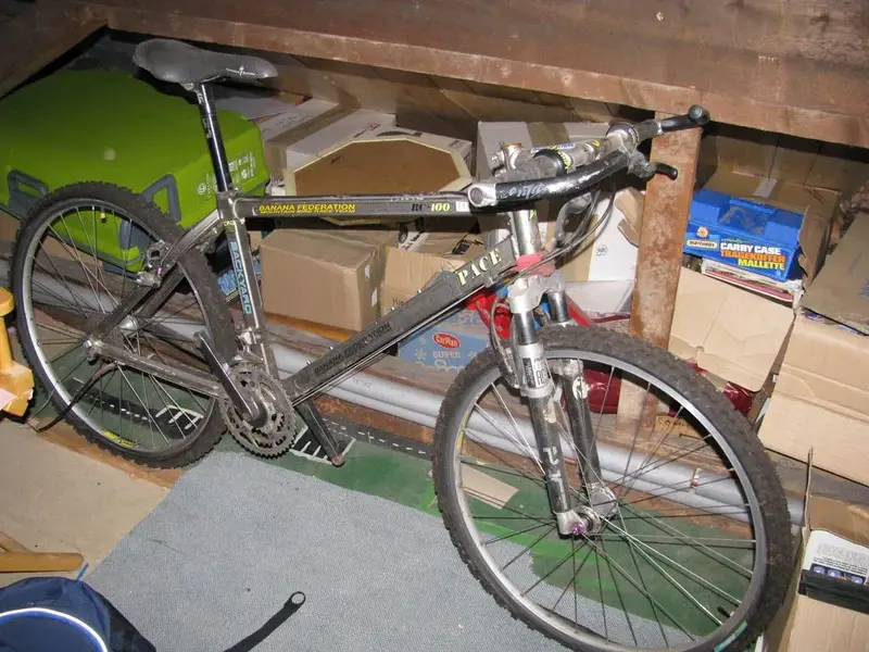 IMG_8354c.webp