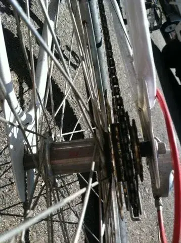 cook phil rear hub.webp