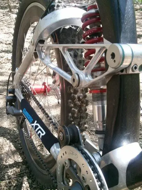 lobo rear end.webp