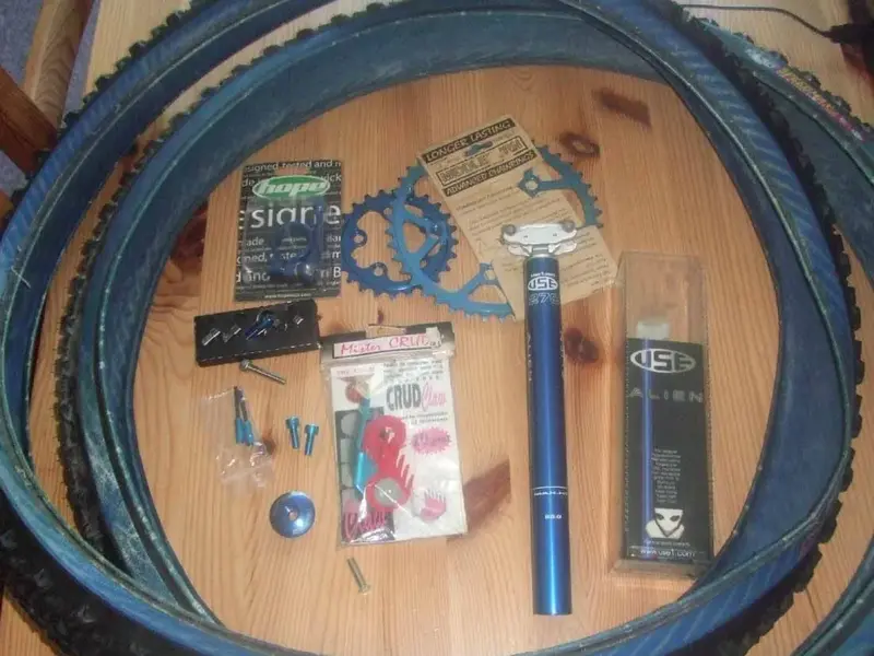 blue bits .webp