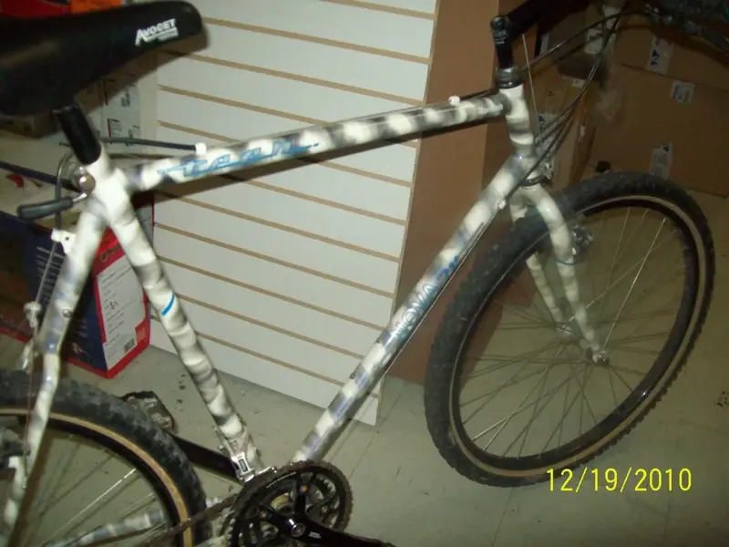 Dec 23 002.webp