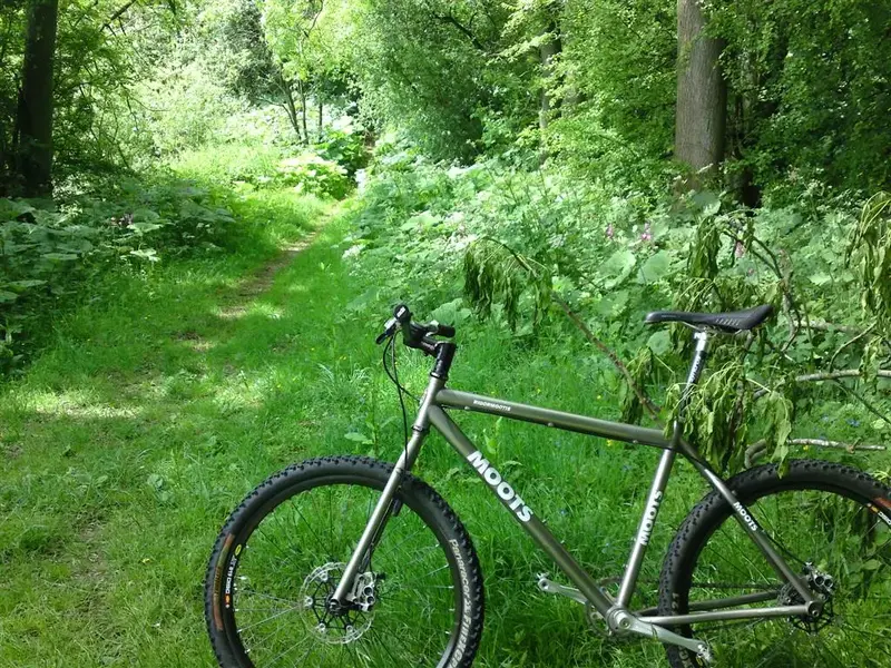 Wolds 010611 001 (Large).webp