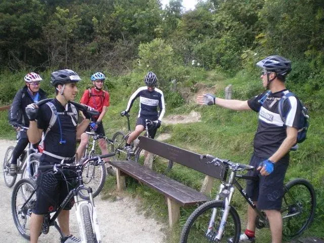 the group.webp