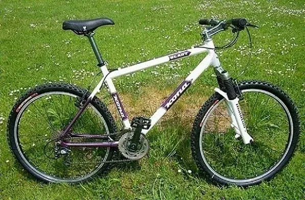 100_0672.webp