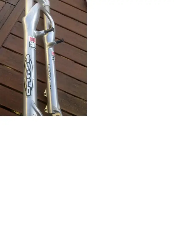 forks 2.webp