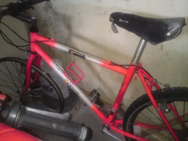 DSC00506.webp