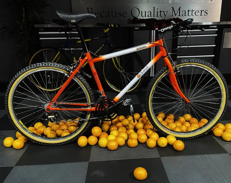 thumbnail_IMG_5914 (2).webp