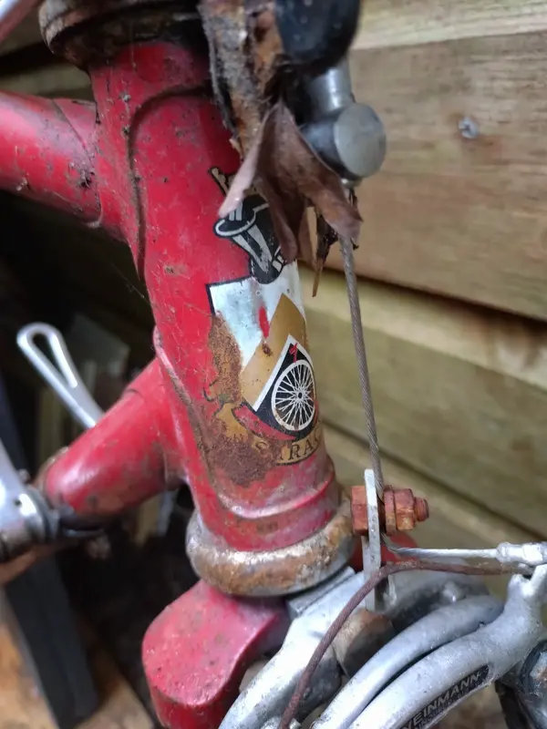 Saracen head tube.webp