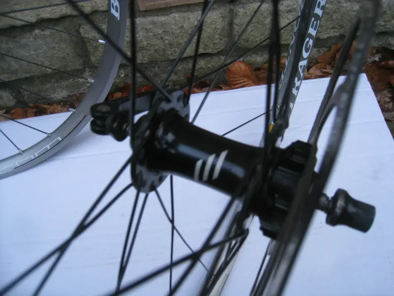 IMG_0005 - Copy (184).webp