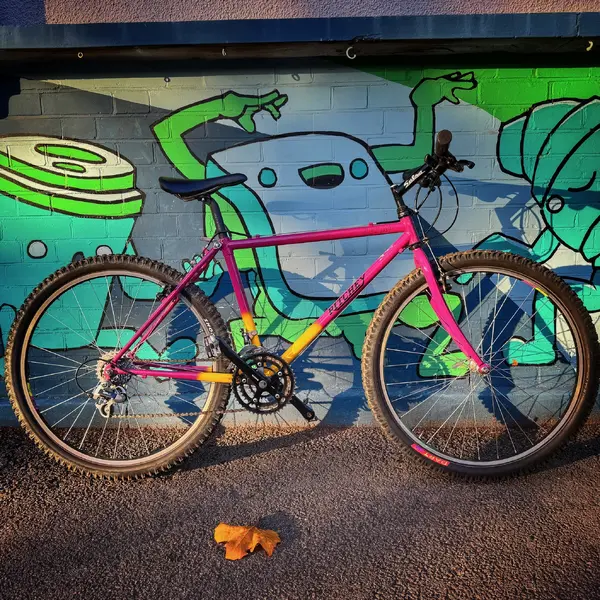 IMG_7441_SnapseedCopy (1).webp