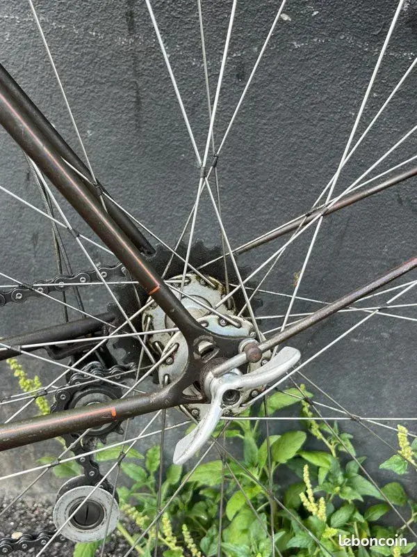 Reyhand 1936 11.webp