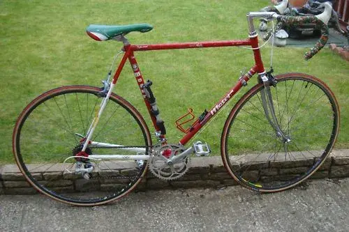 Moser1.webp