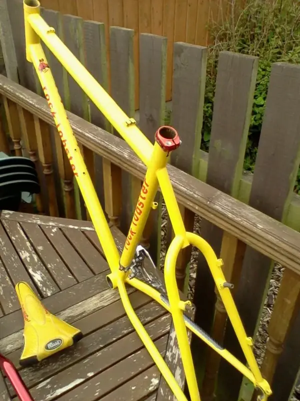 Photo-0015.webp