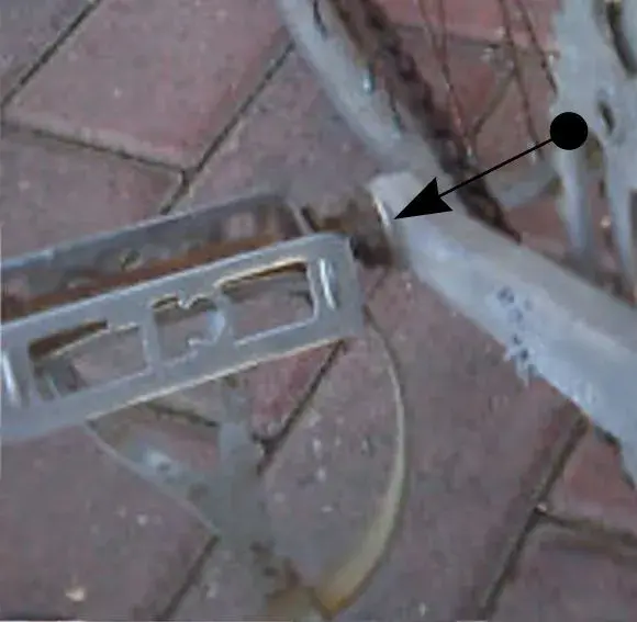 GButler closeup.webp