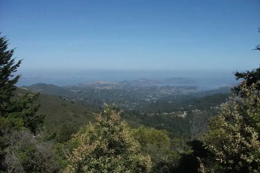 DSCF0328-1.webp