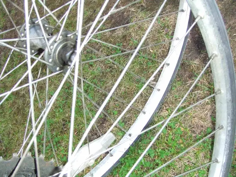 offroad 14.webp