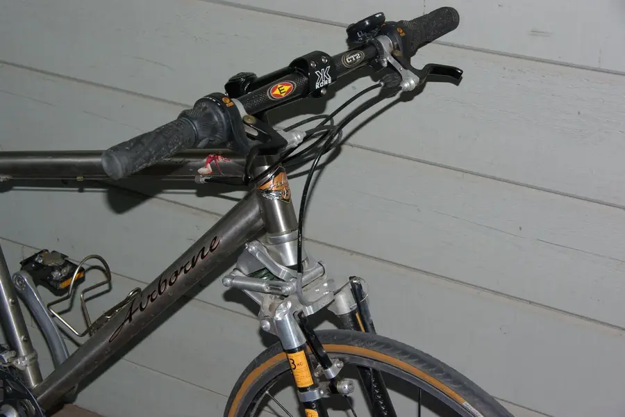 low bike 002.webp