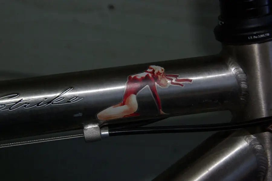 low bike 003.webp