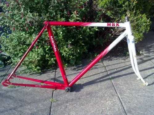 Carnifal June 2011 011.webp