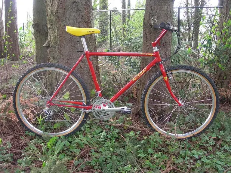 Ritchey1.webp