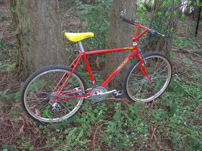 Ritchey2.webp