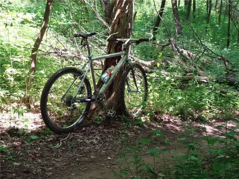 marin nail trail.webp