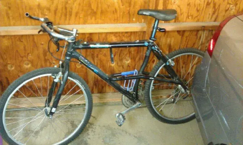 ALPINEBIKE.webp