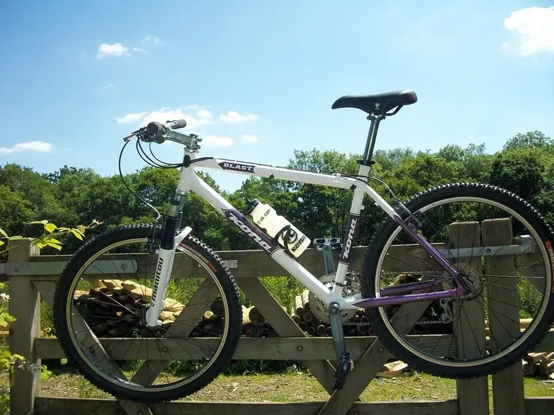 100_1065.webp