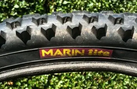marintyre.webp