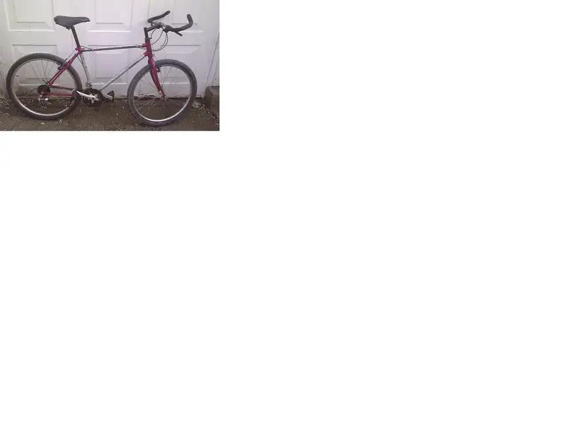 Raleigh M-Trax 500.webp