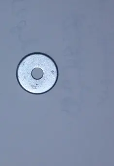 Jockey wheel part.webp