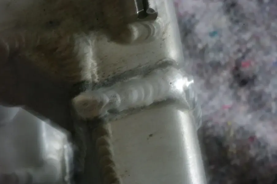 IMGP0820.webp