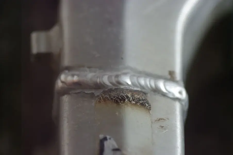 IMGP0827.webp